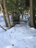 Молодцов Александр Александрович